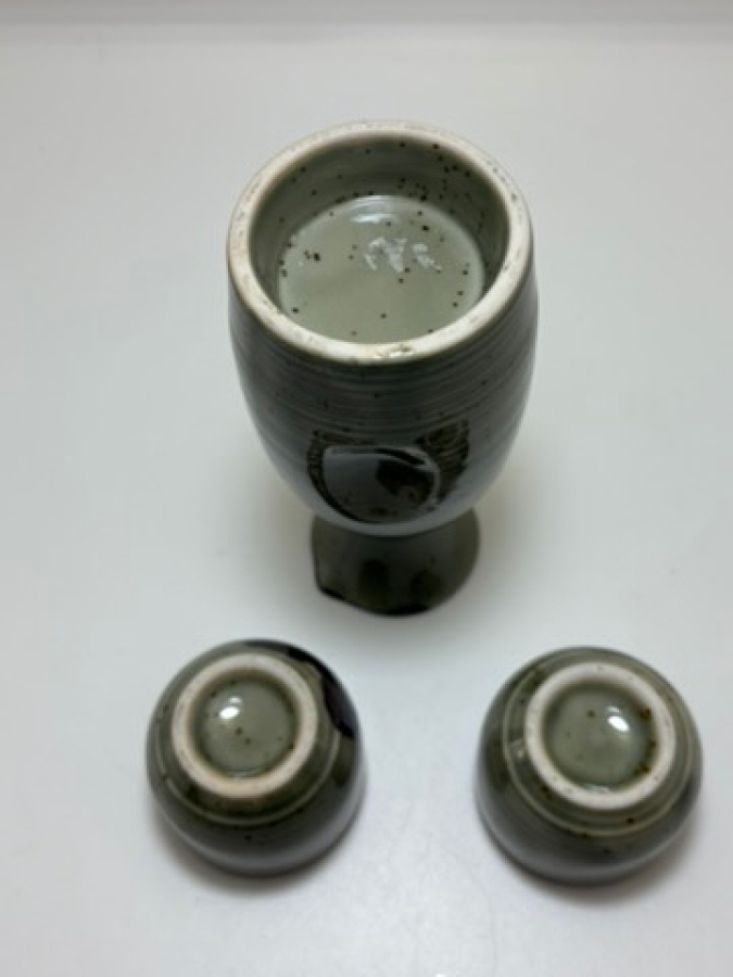 Japon Sake Takımı