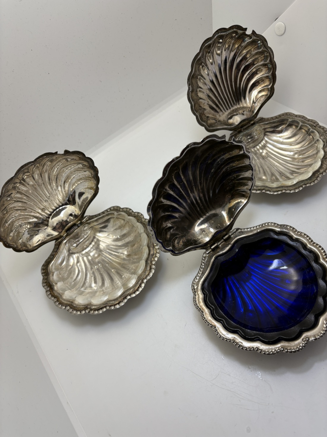 İSTRİDYE HAVYARLIK