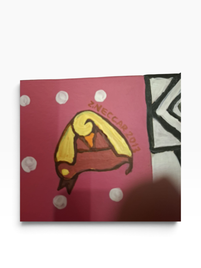 ZUHAL NECCAR ( ZUZU ) DESEN Pembe ve siyah beyaz